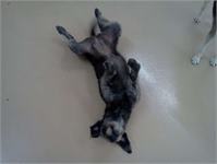 daycare pic 13 - Nola belly